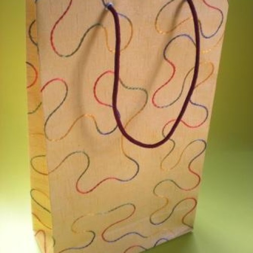 Gift paper bags